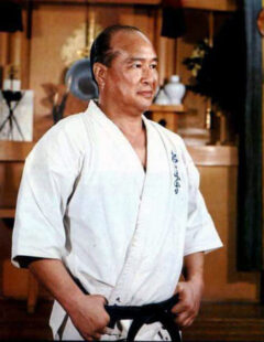 The Best Karate Style? – Reflections on Training